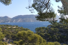 calanques de port pin port miou