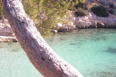 calanques de port pin port miou